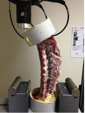 Effectiveness of posterior structures in the development of proximal junctional kyphosis following posterior instrumentation: A biomechanical study in a sheep spine model